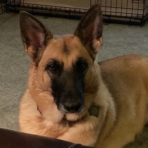 Meet your Posher, Mabel